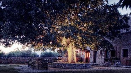 Vlyhada Guesthouse Pyrgos Dirou ภายนอก รูปภาพ
