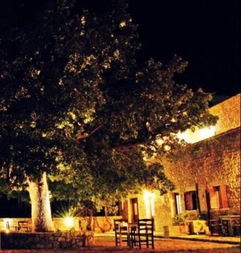 Vlyhada Guesthouse Pyrgos Dirou ภายนอก รูปภาพ
